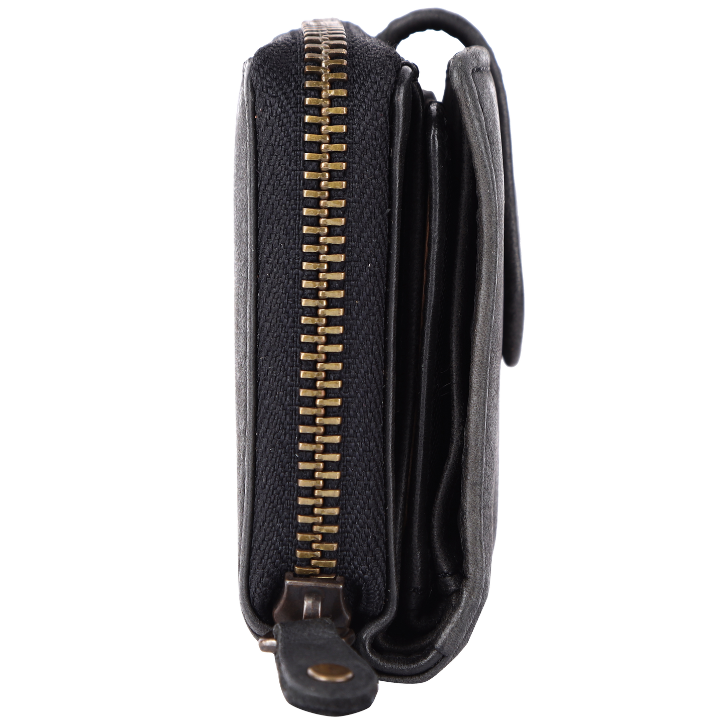 Isidora - Verschiedene Farben