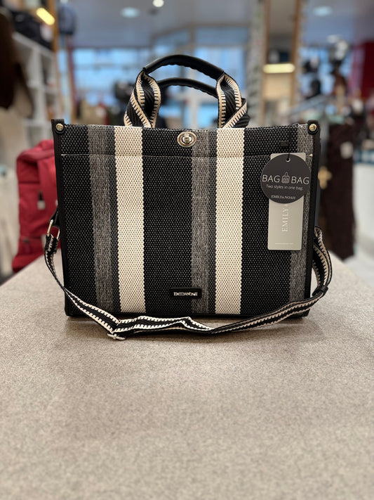 Jasmin - Verschiedene Farben